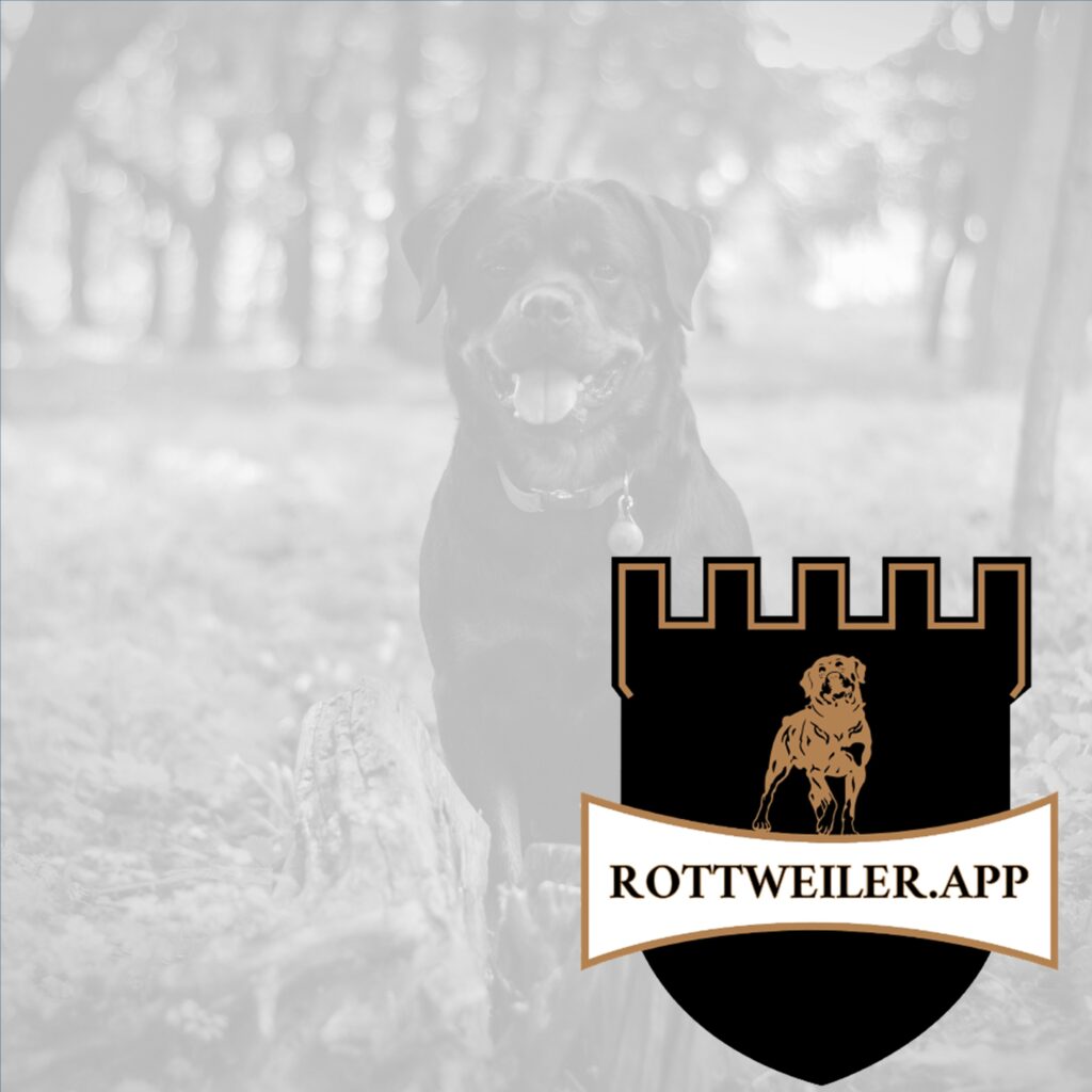 www.rottweiler.app - Rottweilervermittlung