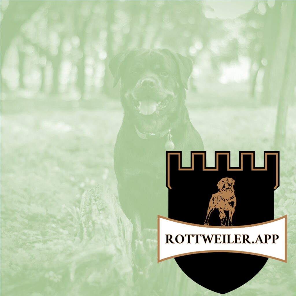 www.rottweiler.app - Rottweilervermittlung eintragen